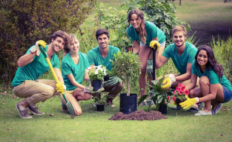 8 Top Garden Trends Summer 2017