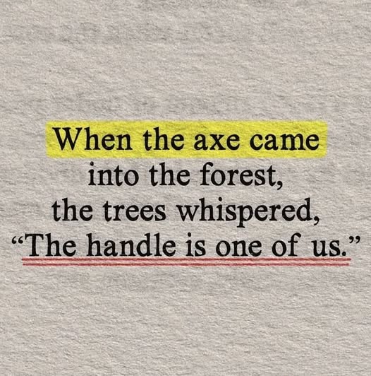 When the axe came into the forest